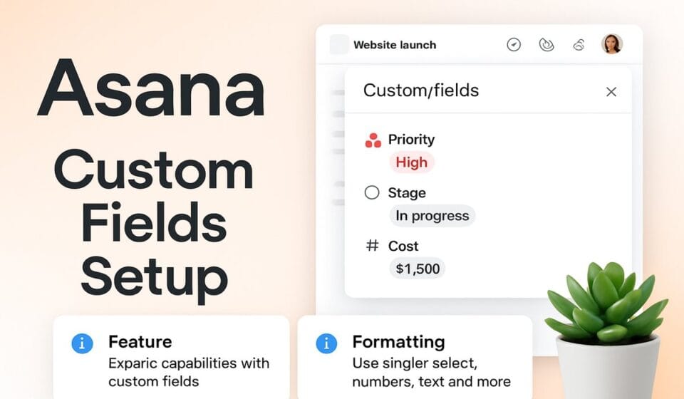 Asana Custom Fields: Complete Setup Guide for 2026